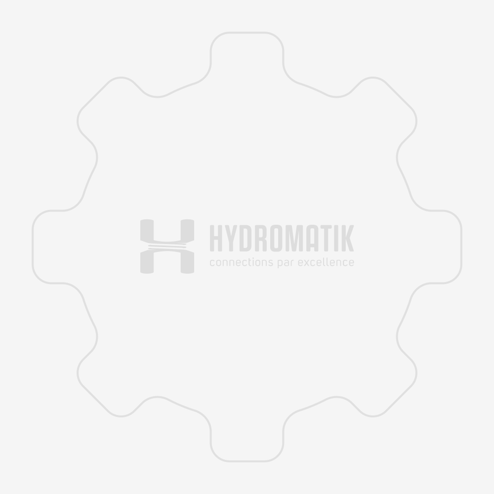 Hydromatik A2F55W61Z2