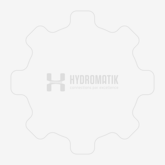 Hydromatik A2F55W61Z2